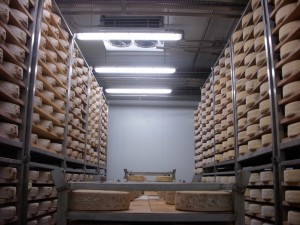 Nos solutions - Evap OMT Photo fromagerie